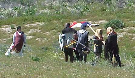 Terre Neuve Images
